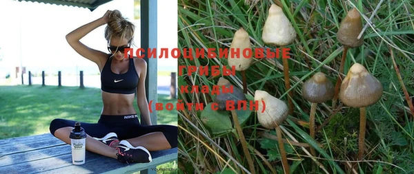 PSILOCYBIN Дмитров