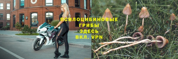 мяу мяу кристалл Дмитриев