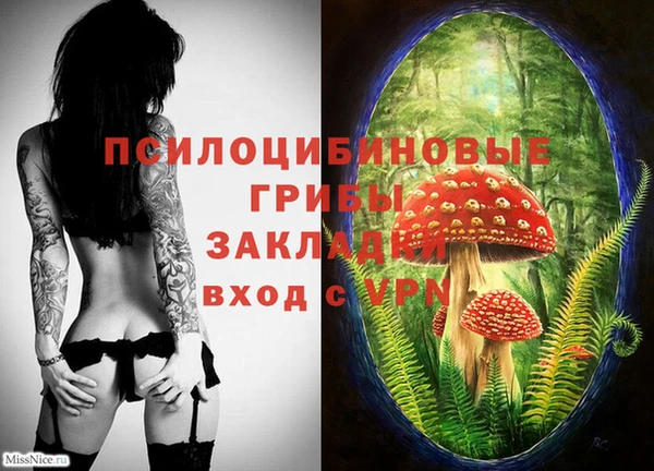винт Дмитровск