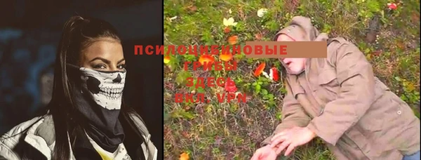 PSILOCYBIN Дмитров