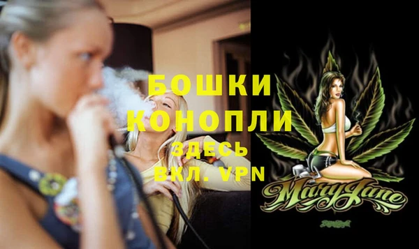 PSILOCYBIN Дмитров